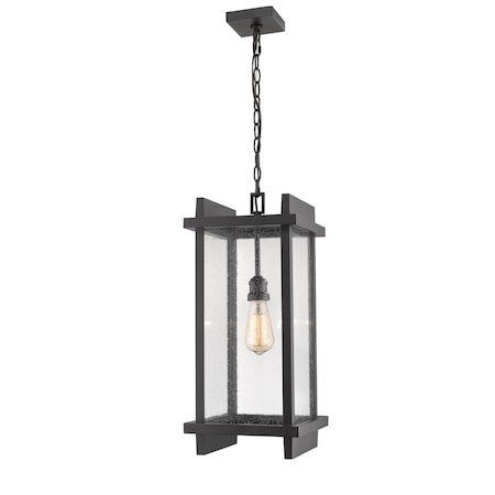 Fallow 1 Light Outdoor Chain Mount Ceiling Fixture, Black And Clear Seedy